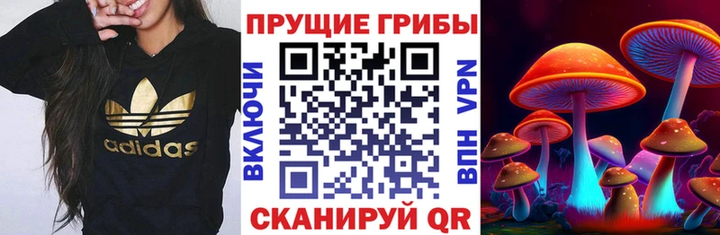 Псилоцибиновые грибы Magic Shrooms  Сретенск 